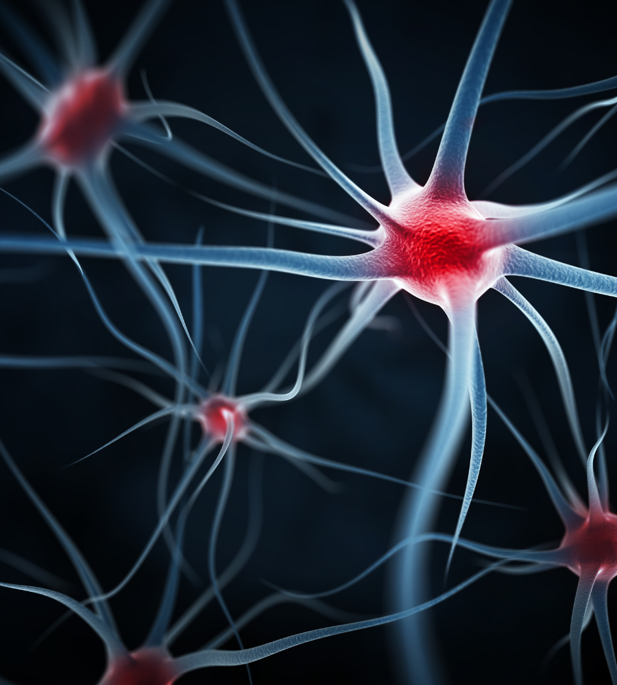 peripheral neuropathy treatment